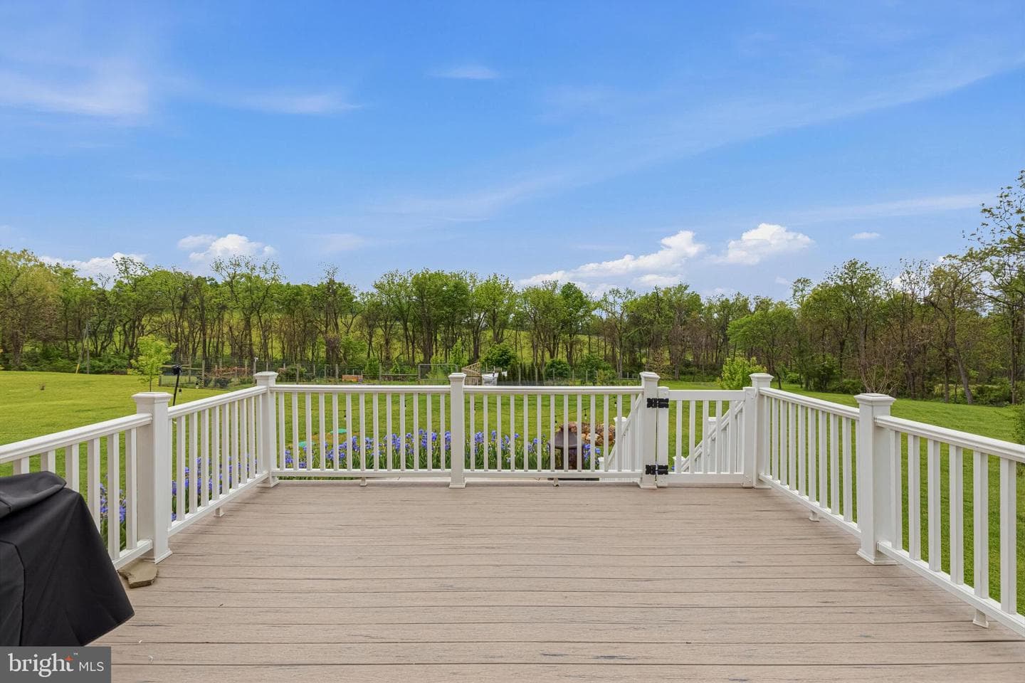 40923 Browns Lane photo 49