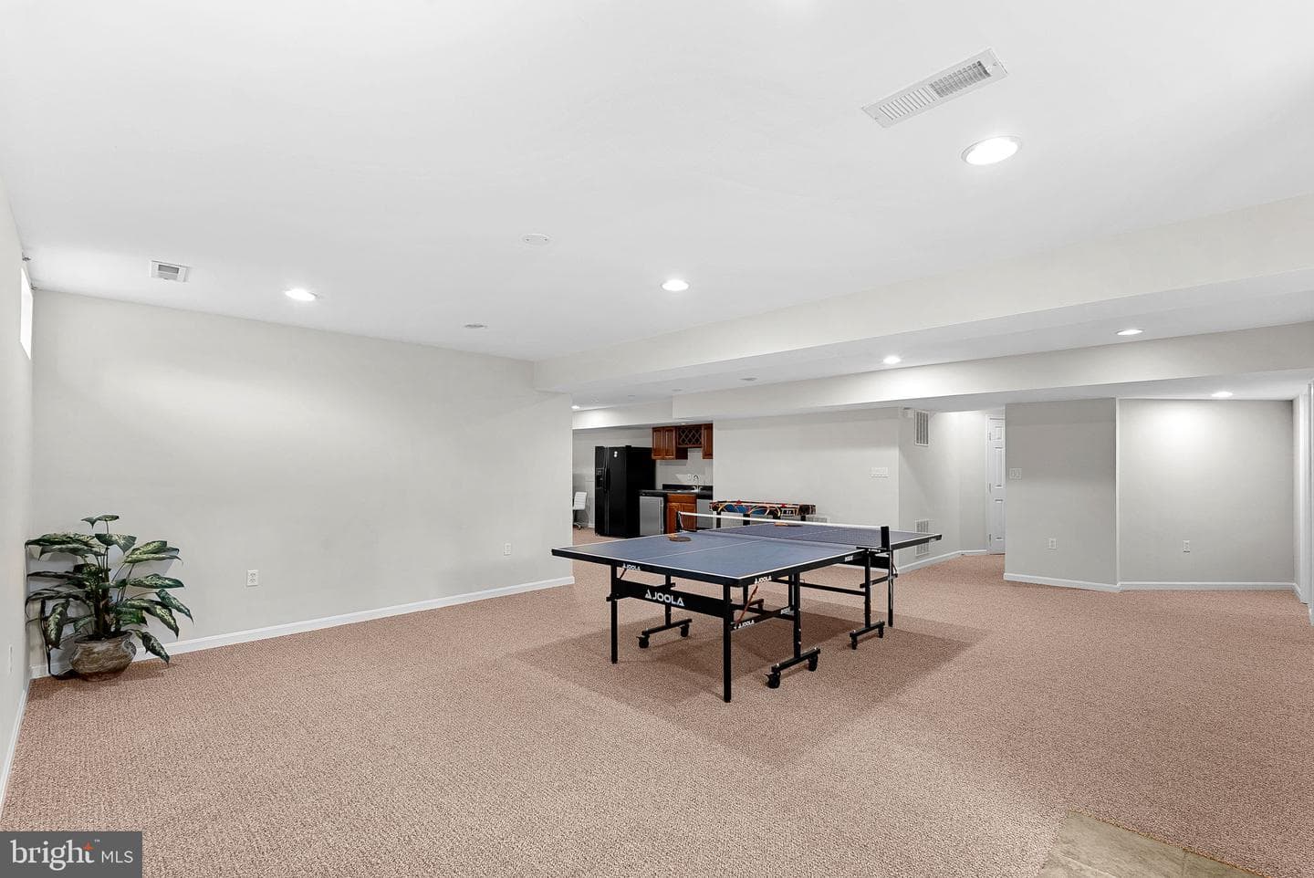 43294 Rachelle Ann Court photo 67
