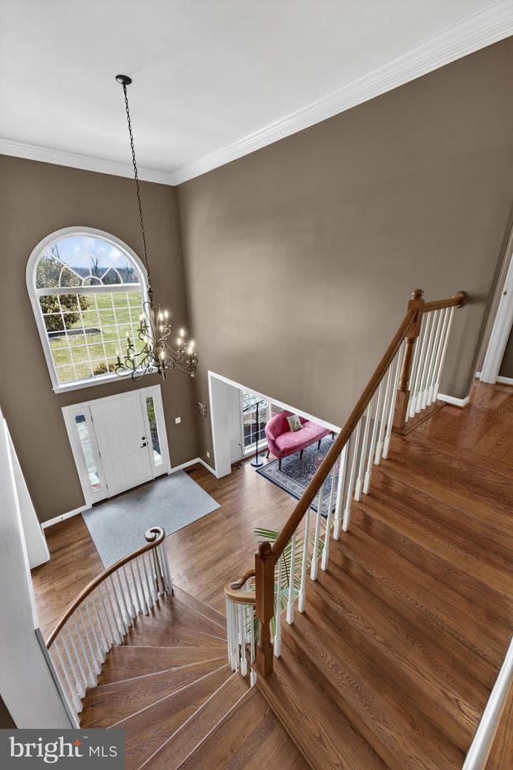 39054 Old Stage Place photo 45