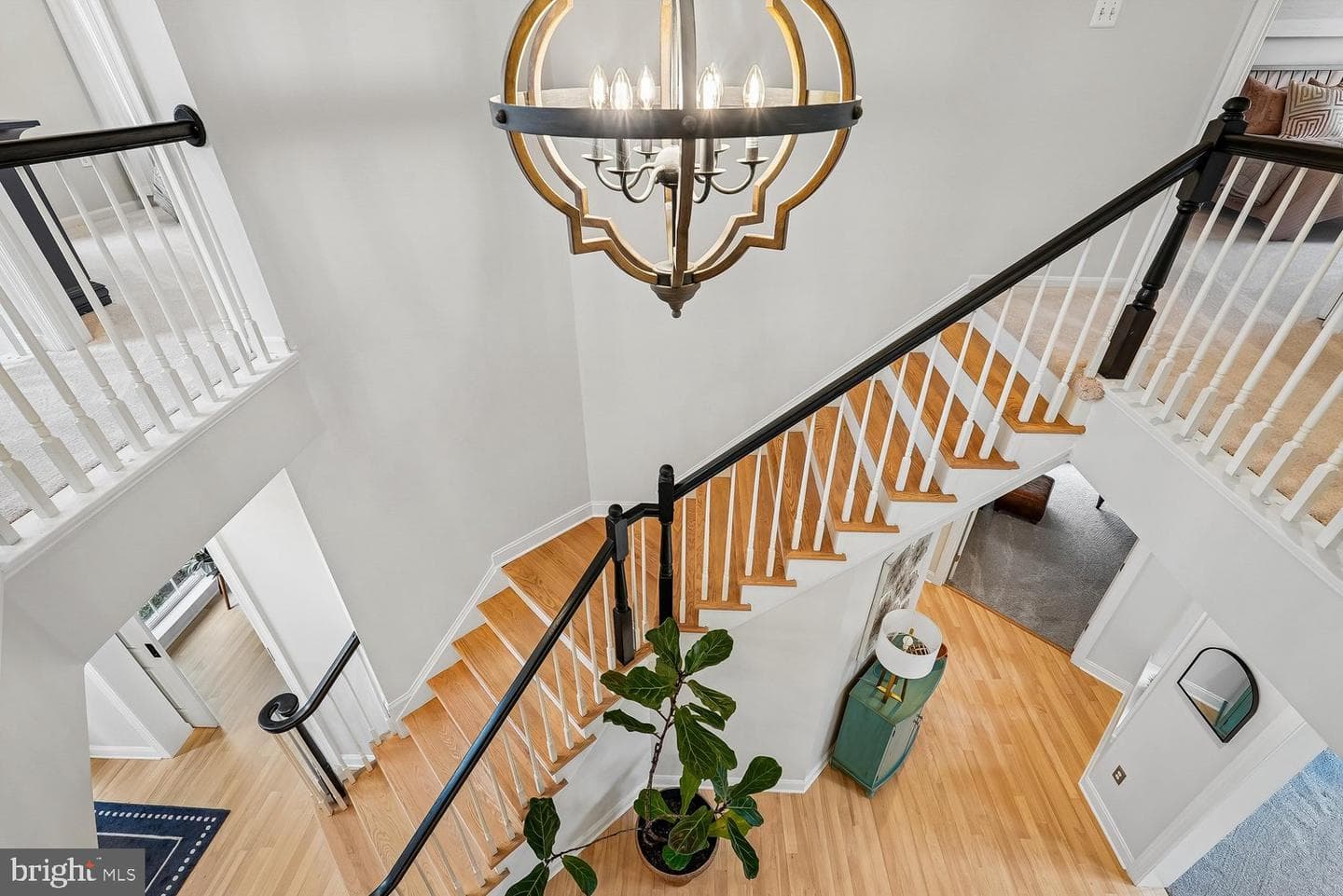 22527 Forest Run Drive photo 52