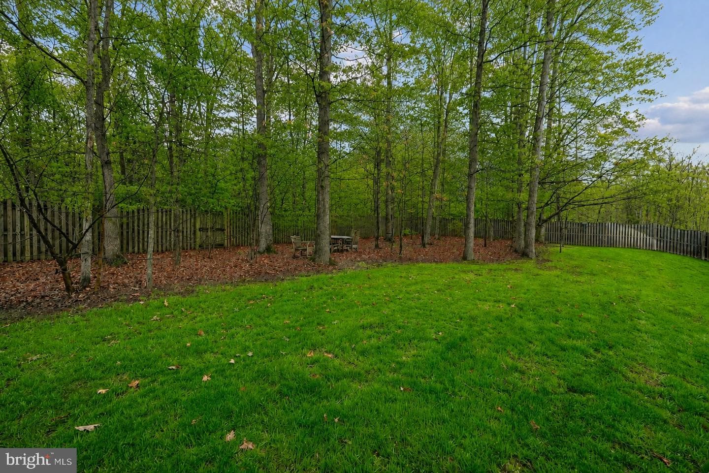 22527 Forest Run Drive photo 7