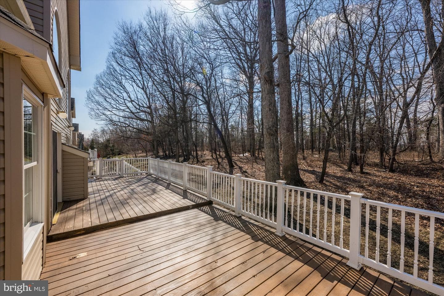 20089 Boxwood Place photo 51