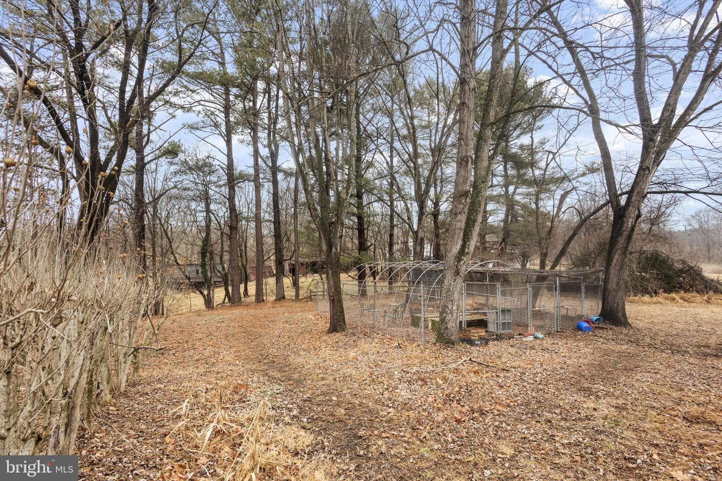 15651 Berlin Turnpike photo 28
