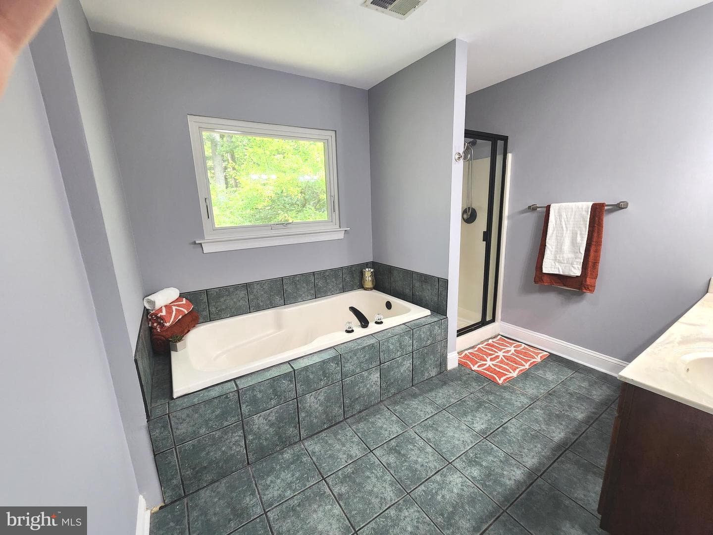 22247 Watson Road photo 24