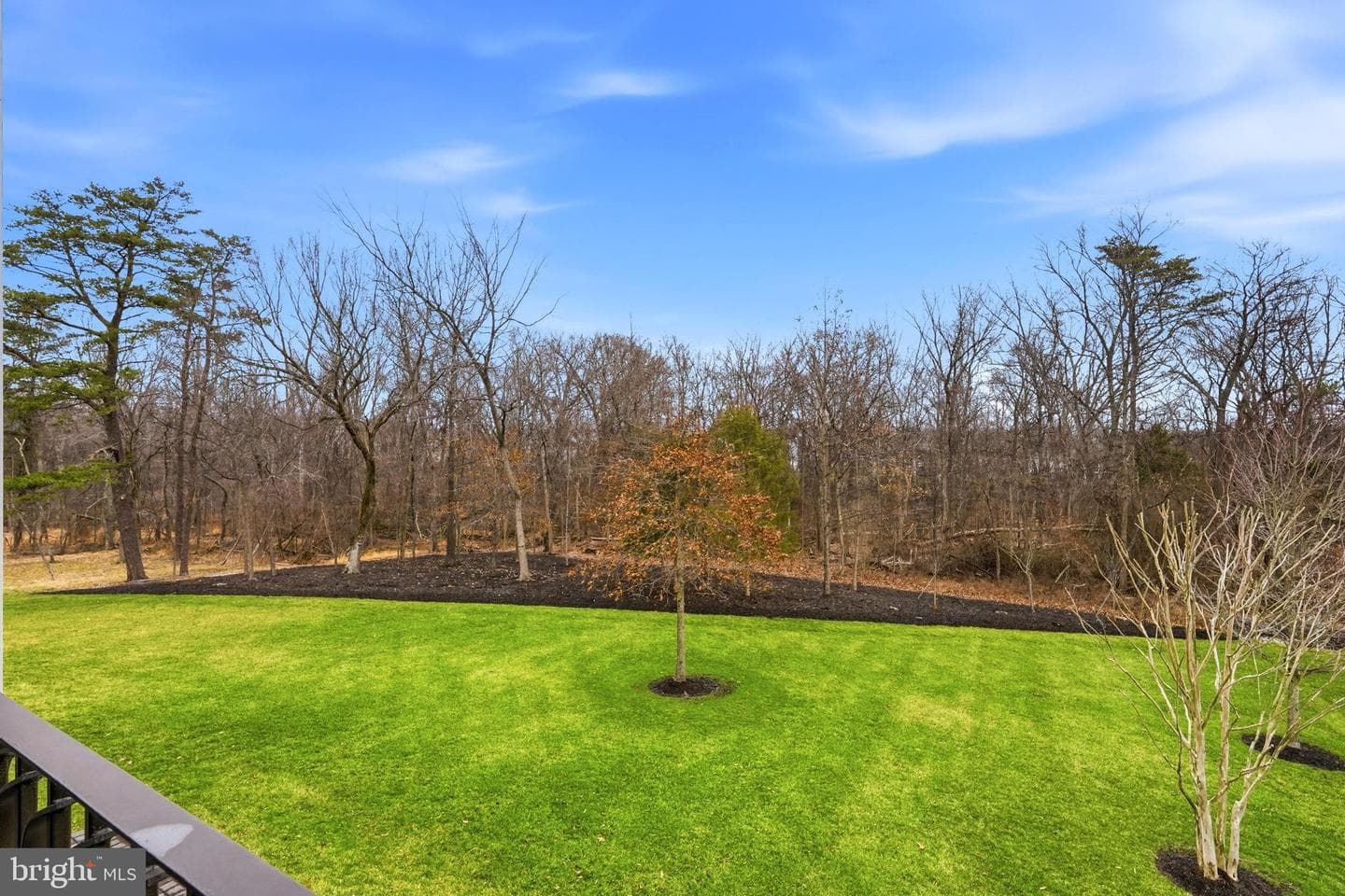 23014 Lavender Valley Court photo 100