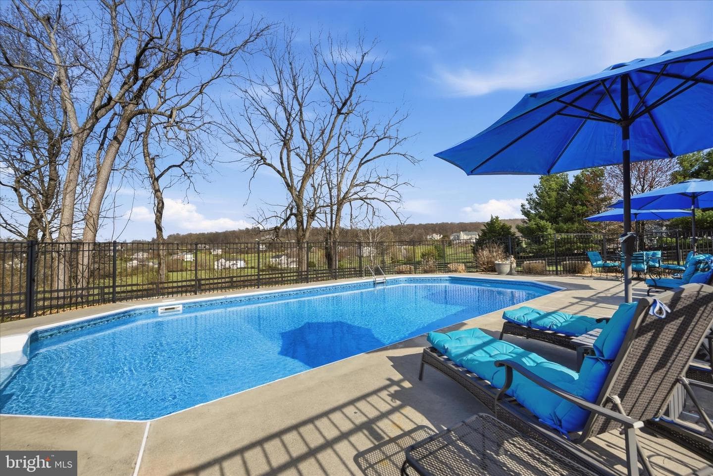 15094 Bankfield Drive photo 87