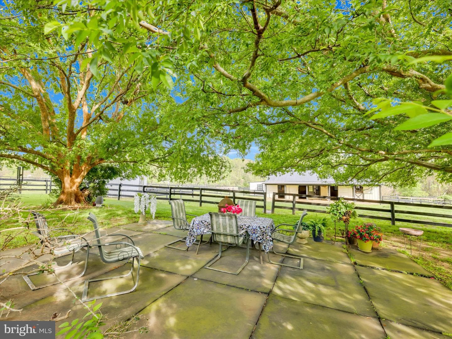 19255 Telegraph Springs Road photo 26