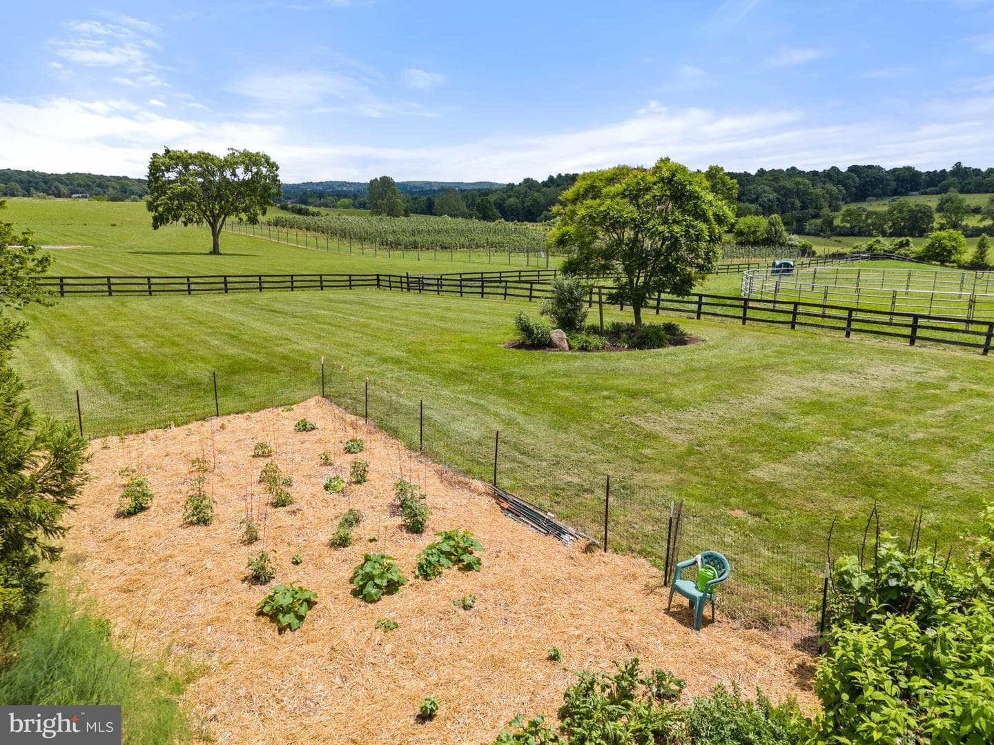 39311 Rickard Road photo 73