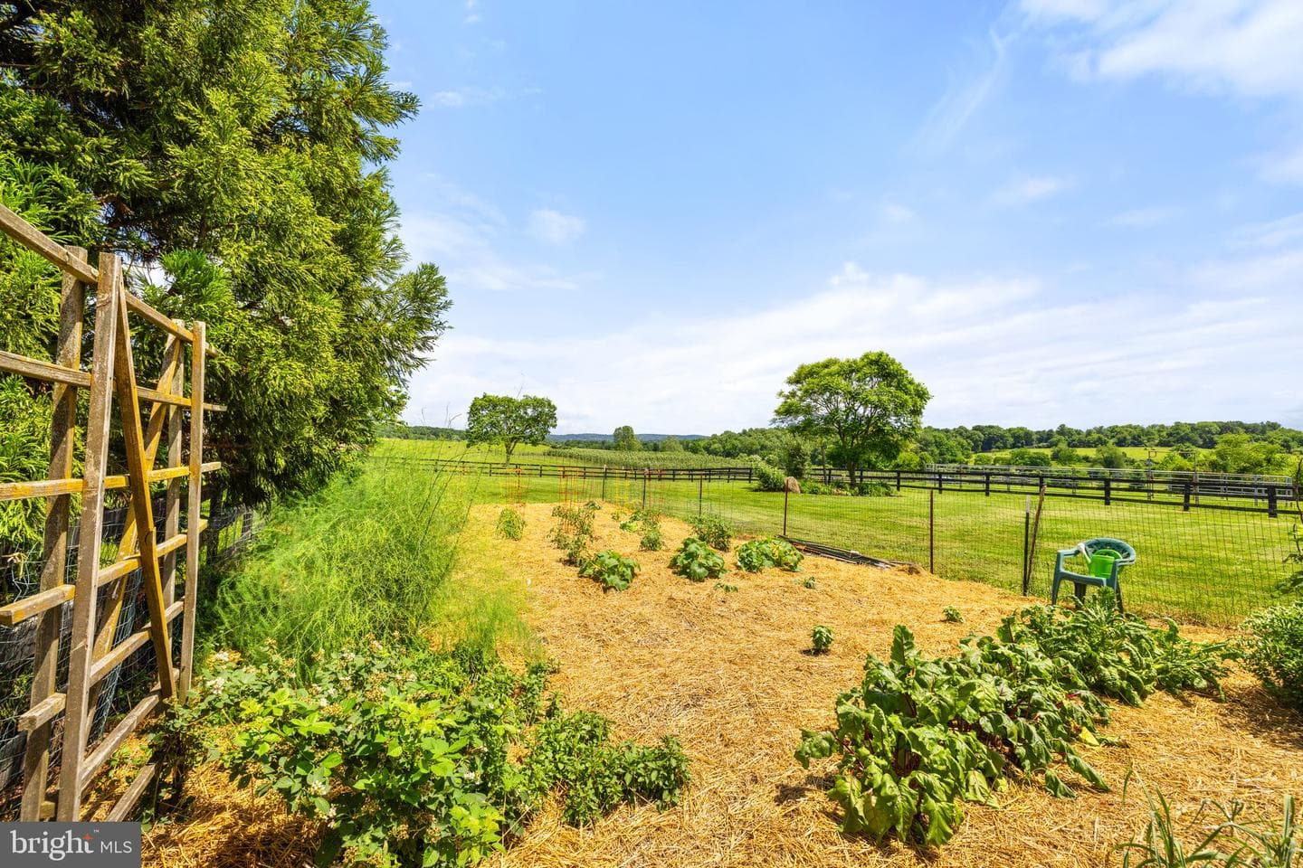 39311 Rickard Road photo 74