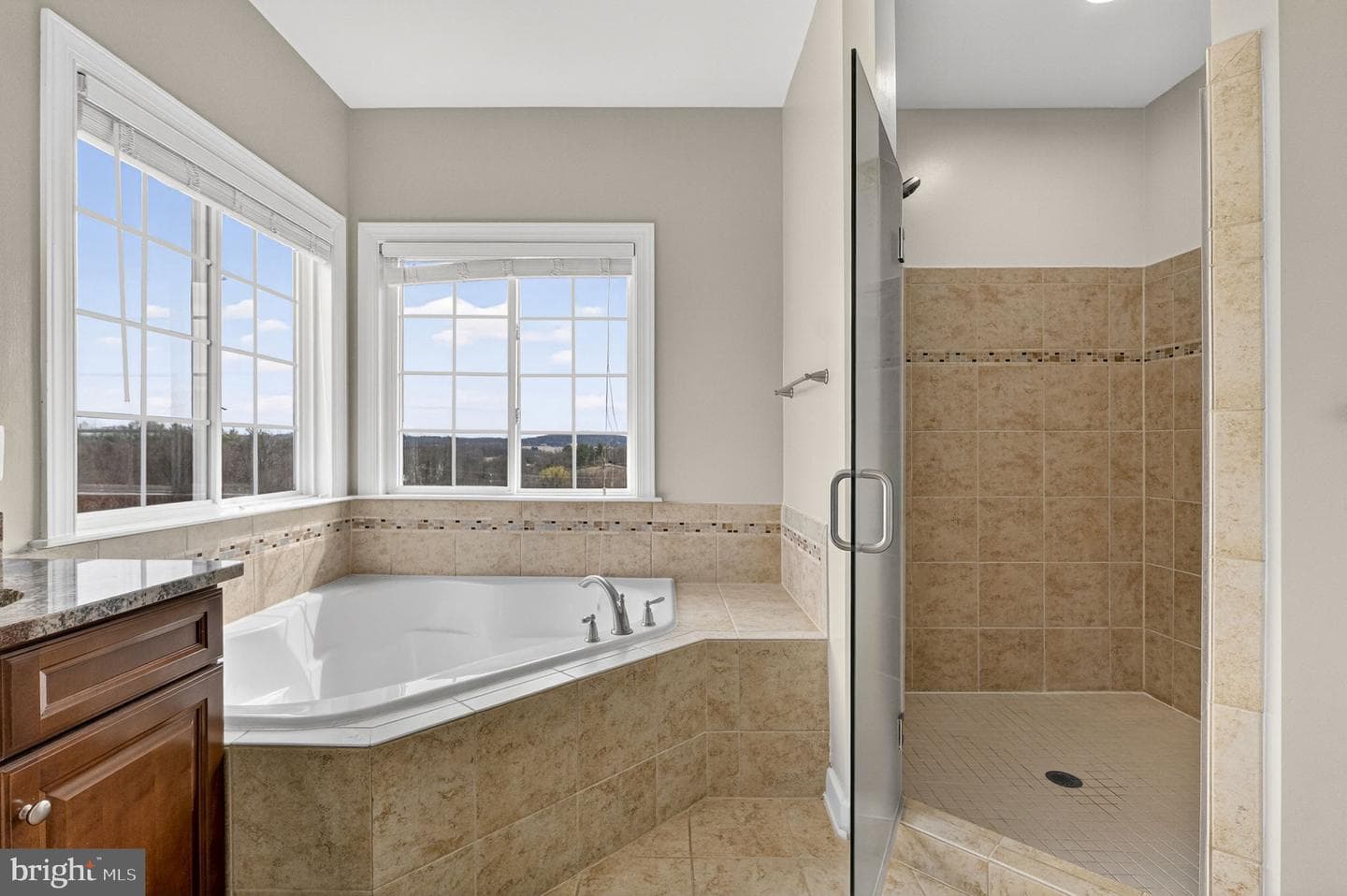 13200 Waterford View Court photo 53