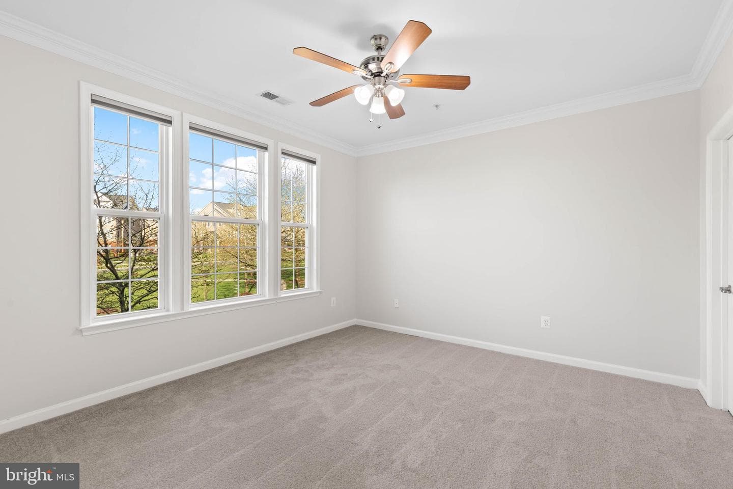 42554 Wildly Terrace photo 22