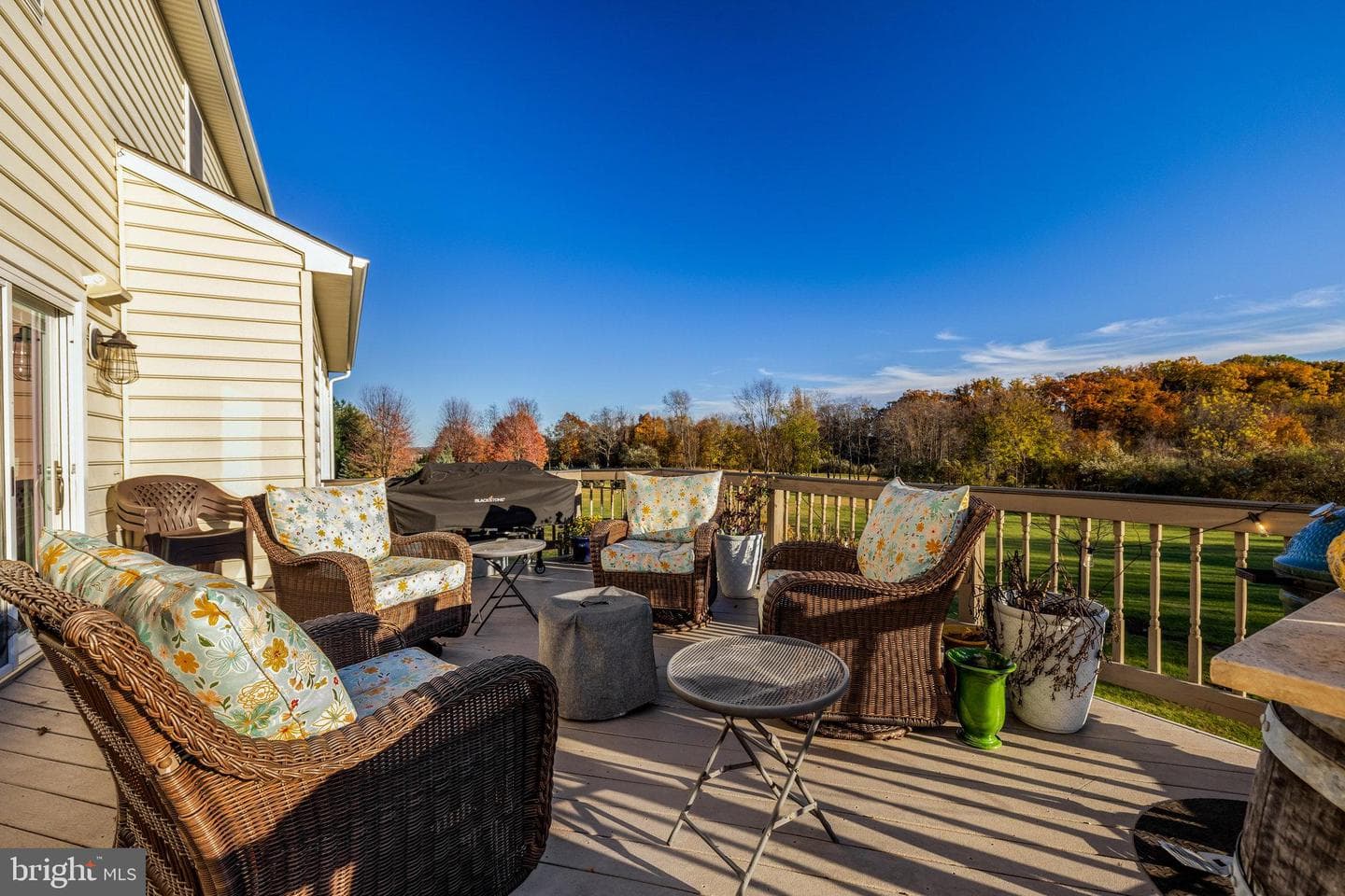 36169 Silcott Meadow Place photo 47