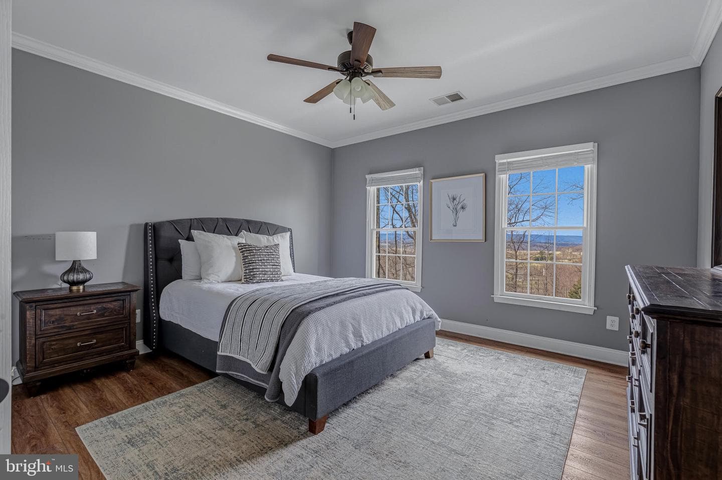 41297 Dutton Court photo 47