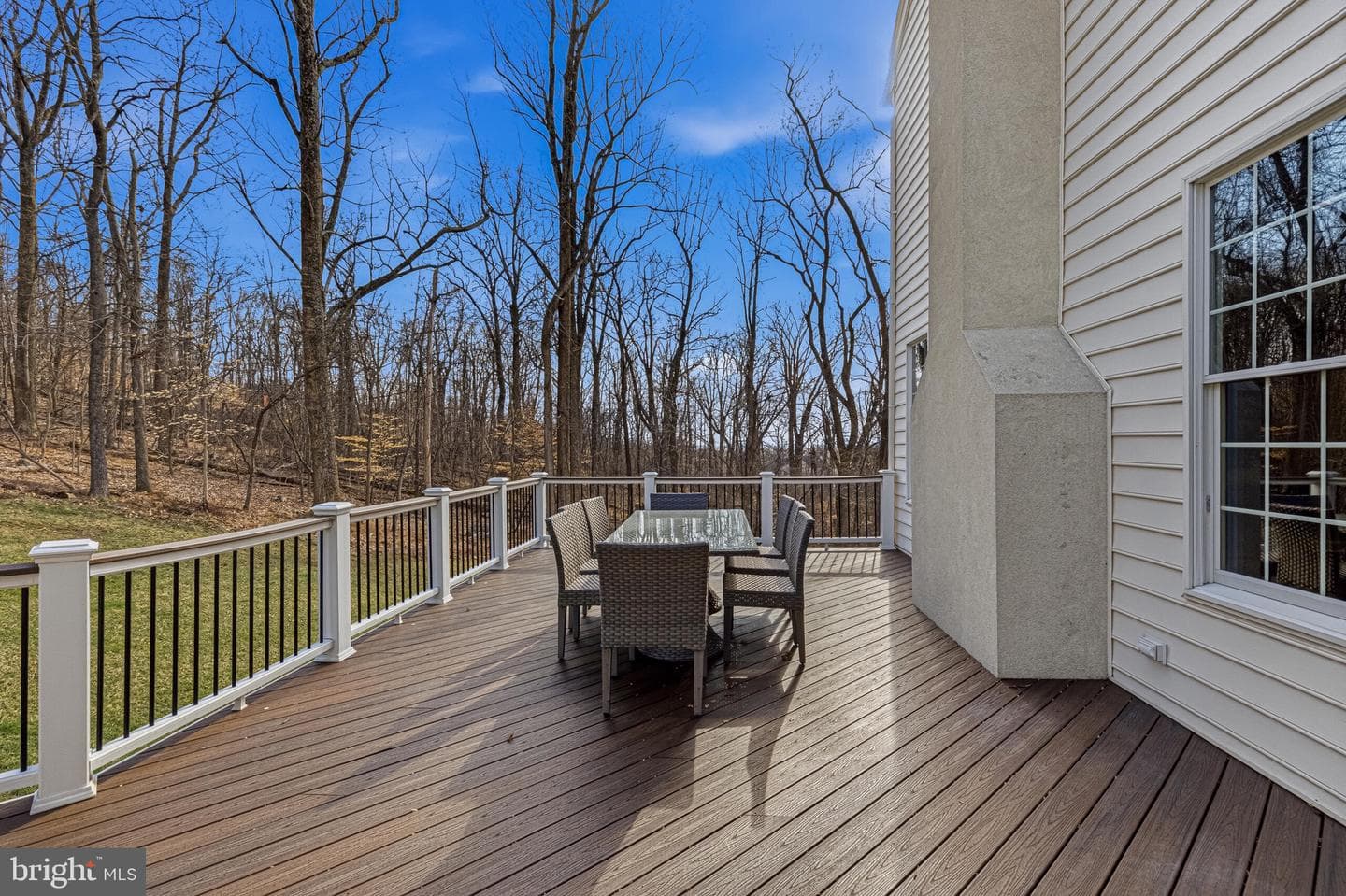 41297 Dutton Court photo 52