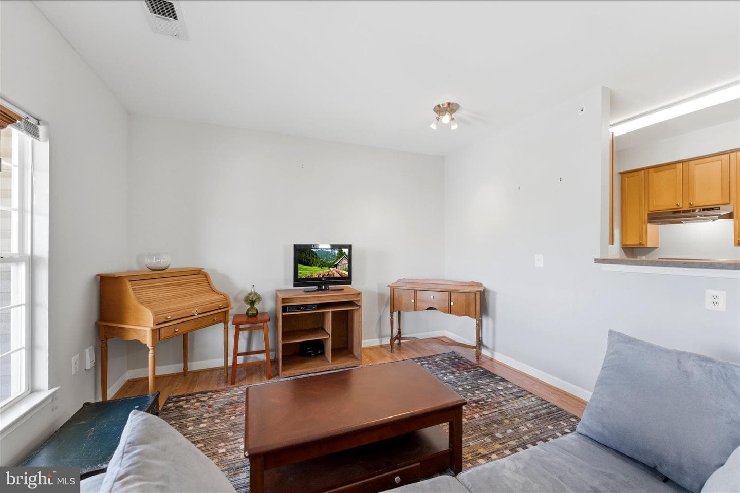42539 Mayflower Terrace #301 photo 12