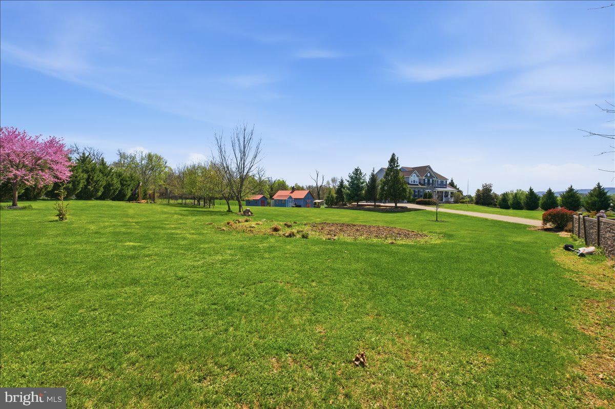 11950 Stonehouse View Court photo 10