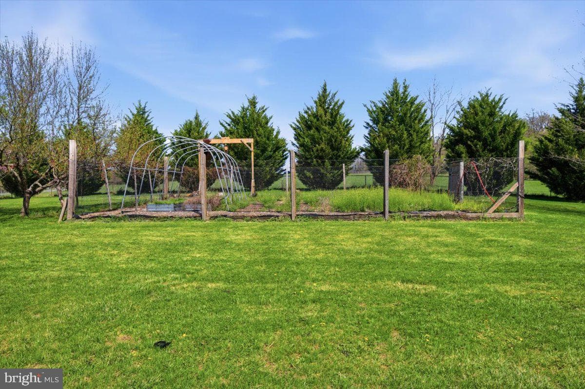 11950 Stonehouse View Court photo 12