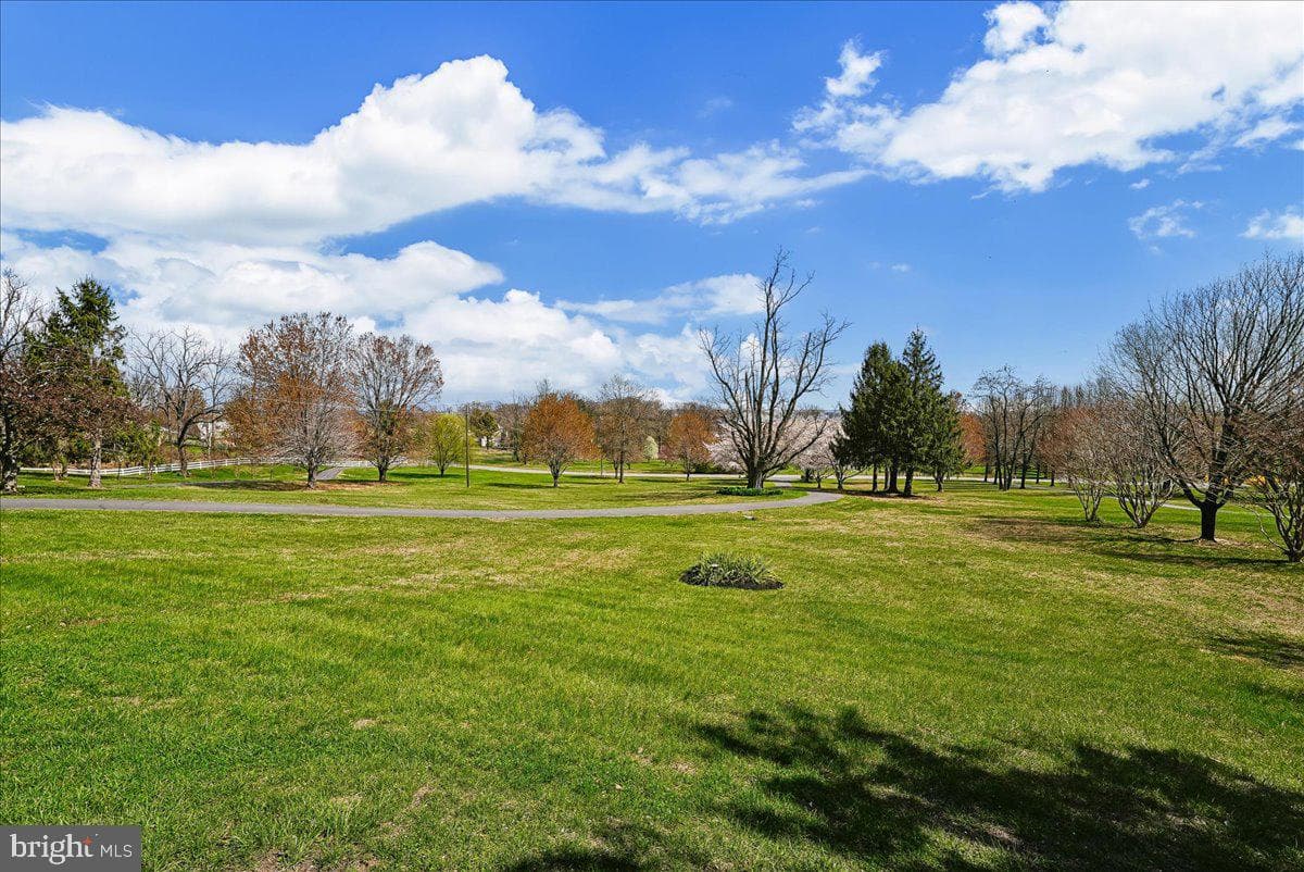 14351 Rosefinch Circle photo 99