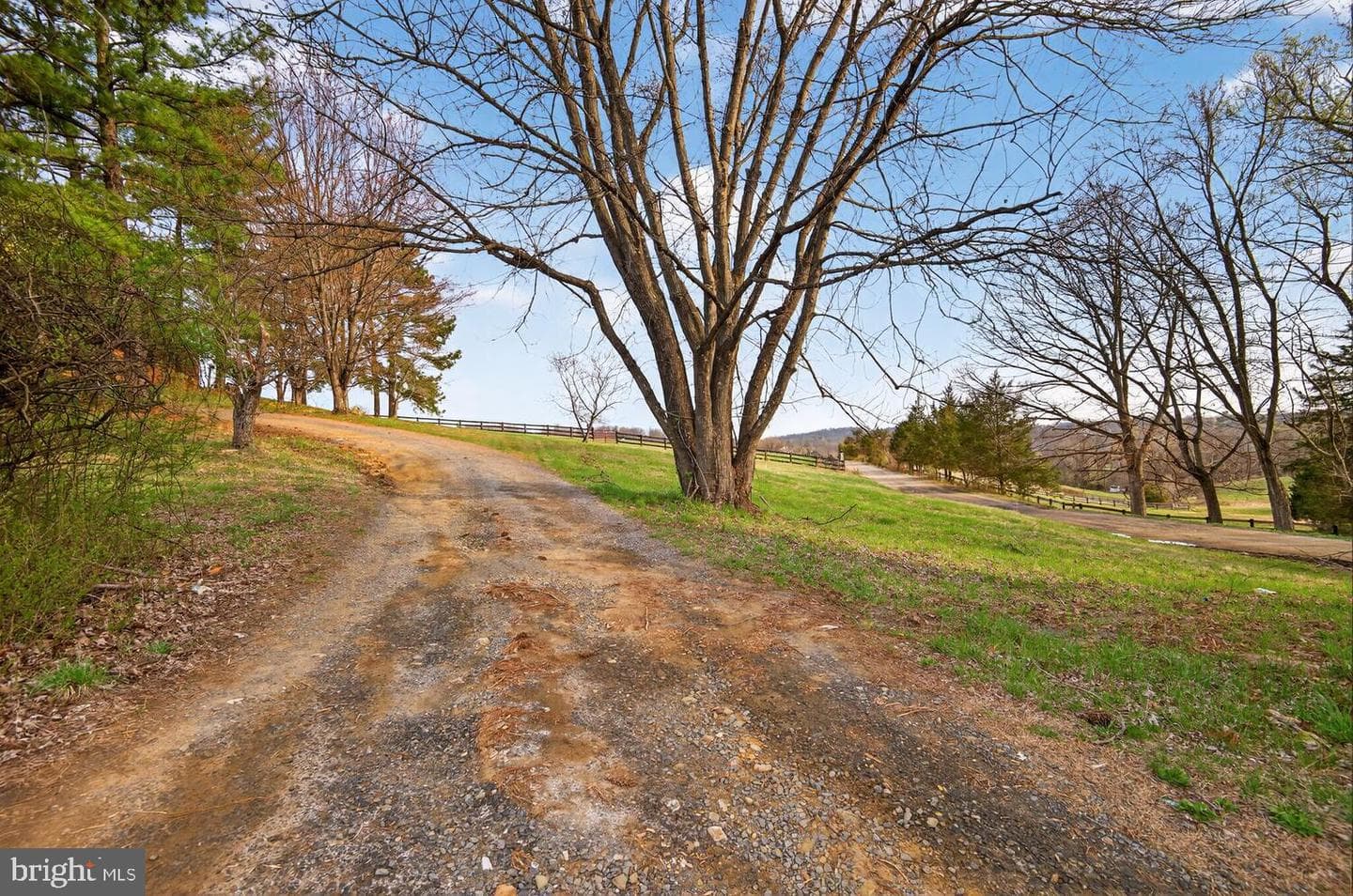 40246 Thomas Mill Road photo 10