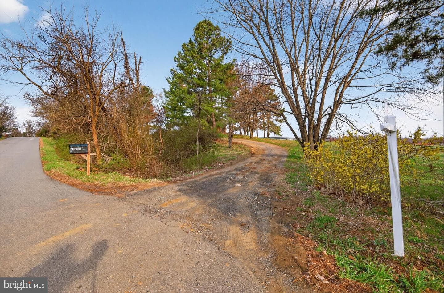40246 Thomas Mill Road photo 11