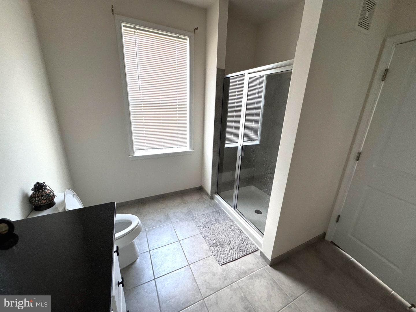 24485 Amherst Forest Terrace photo 17