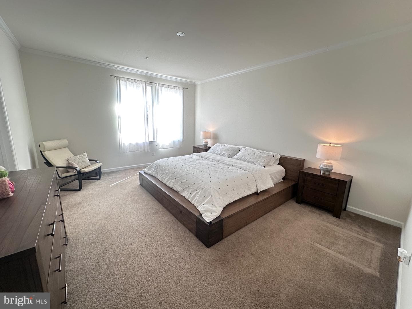 24485 Amherst Forest Terrace photo 20