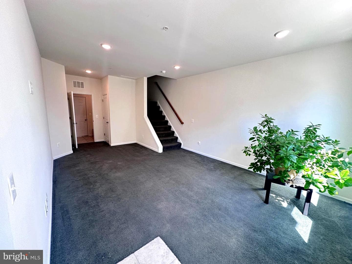 24485 Amherst Forest Terrace photo 32