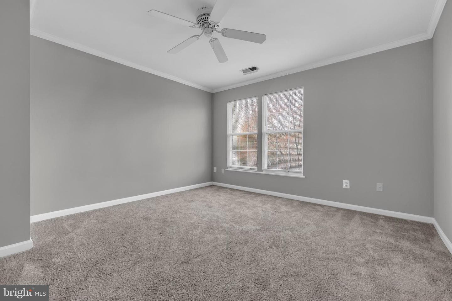 Va photo 29