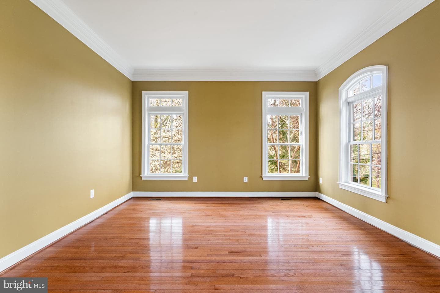 20888 Eckbo Drive photo 14
