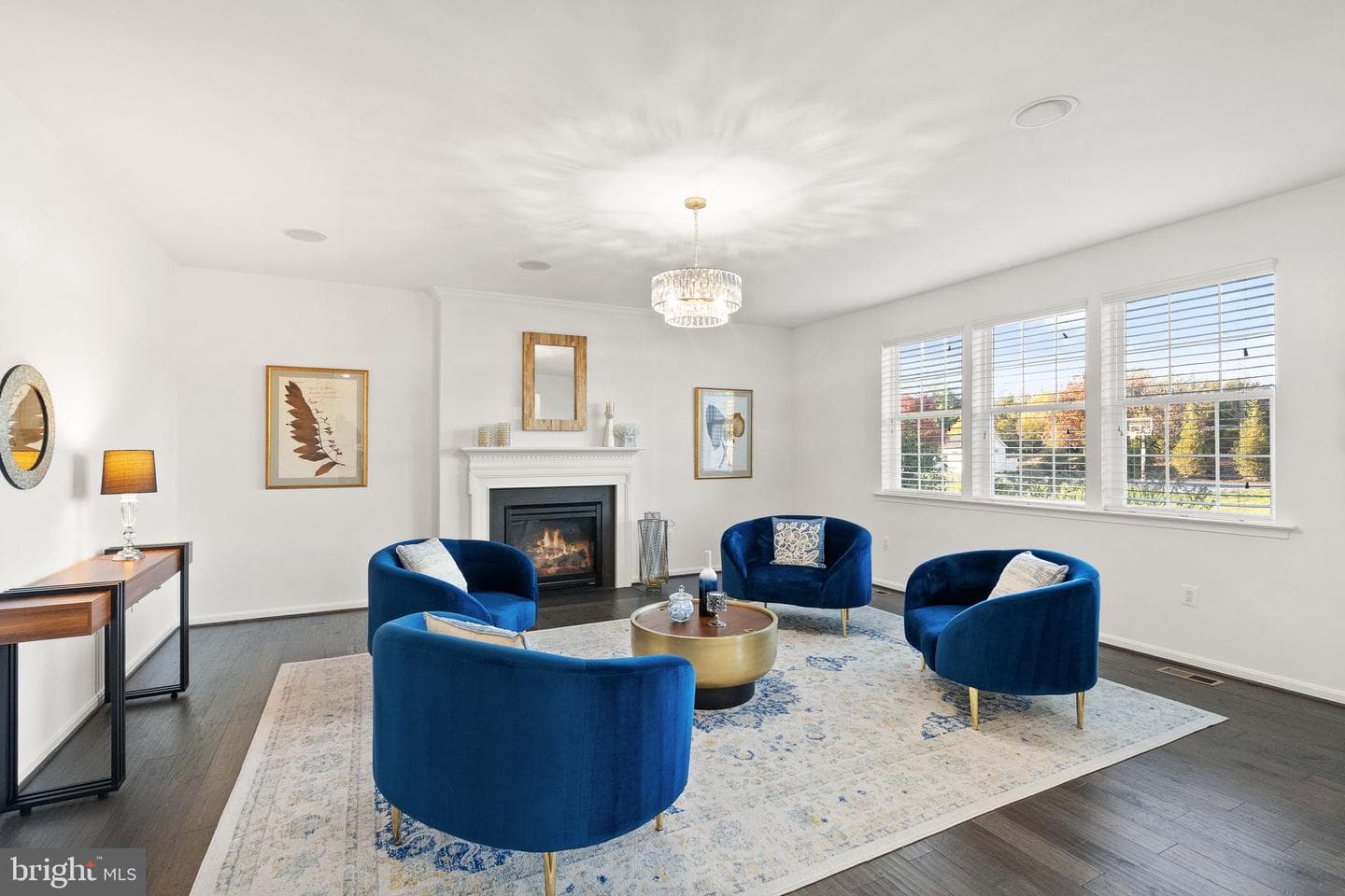 42222 Cameron Parish Drive, Ashburn