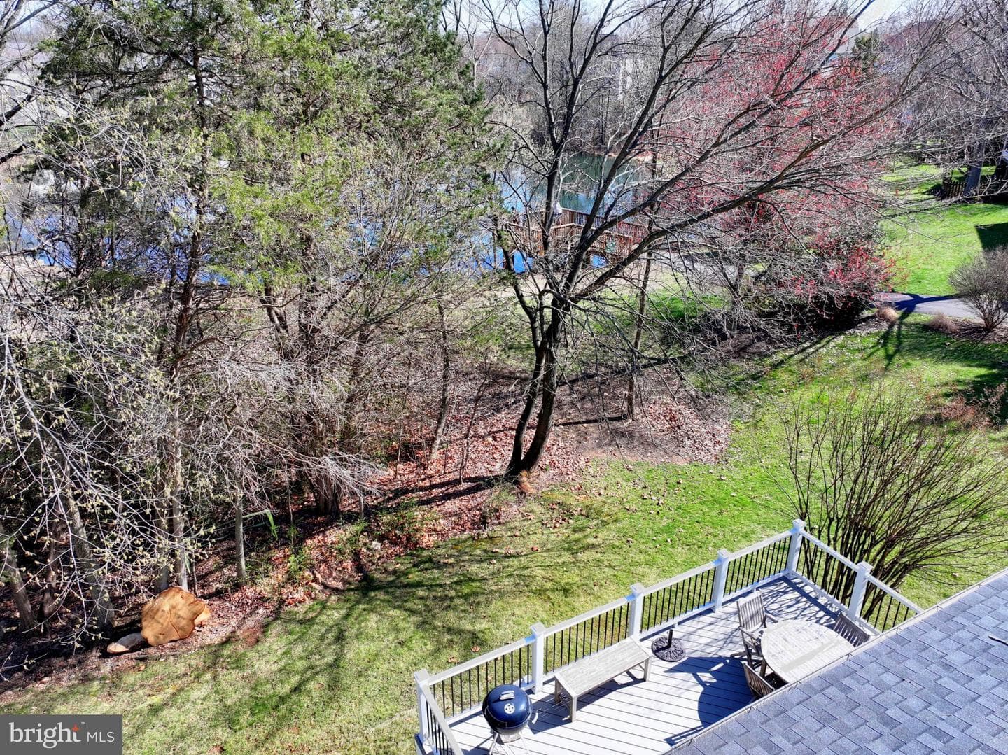 21312 Small Branch Place photo 55