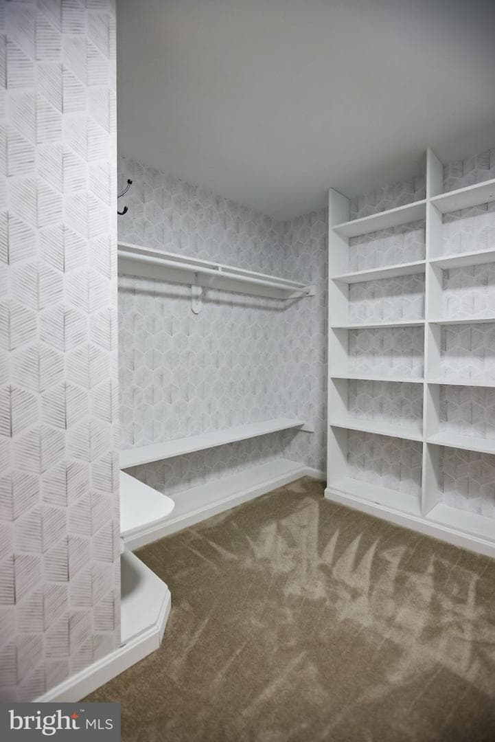 20818 Blossom Landing Way photo 36