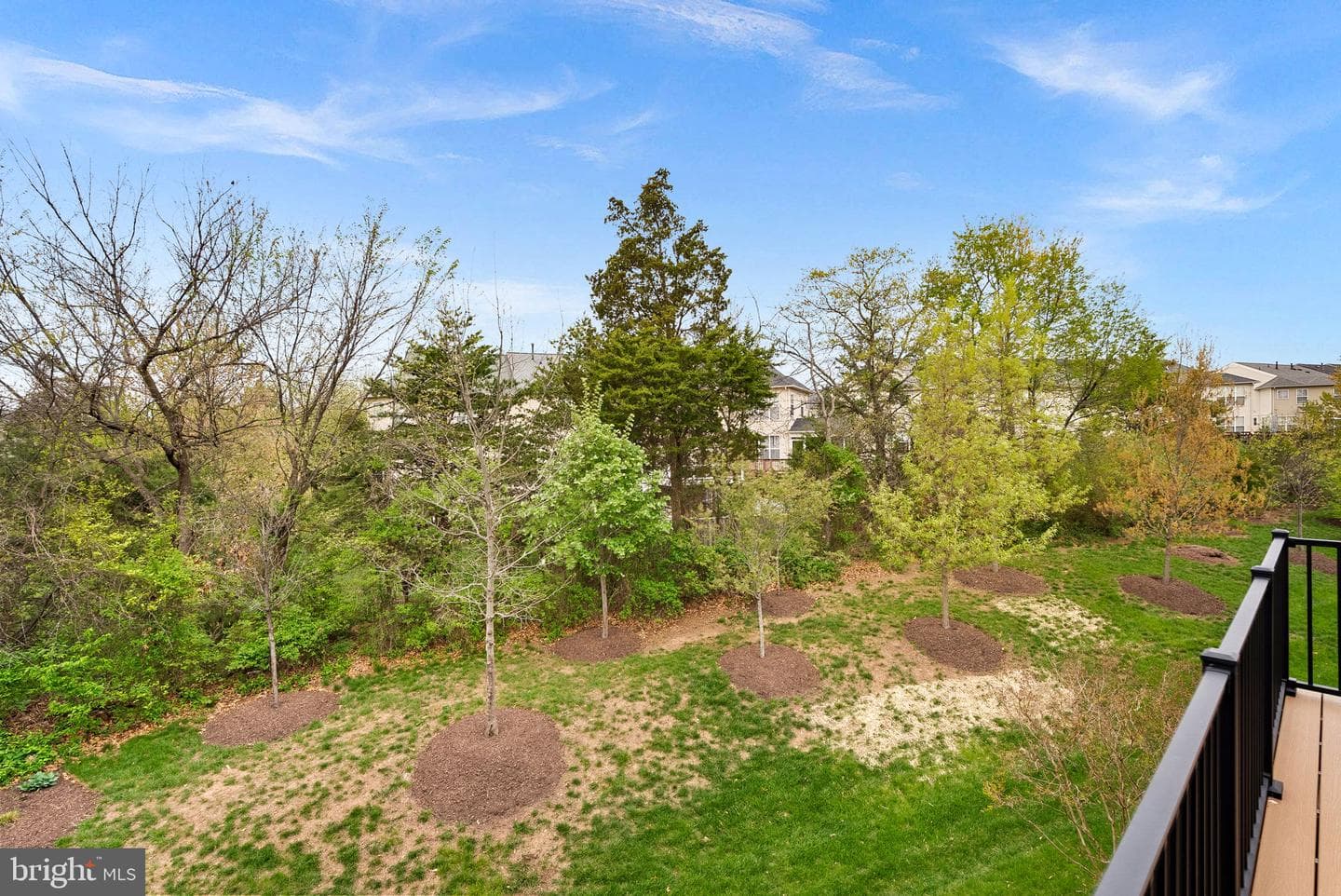 42734 Cumulus Terrace photo 46