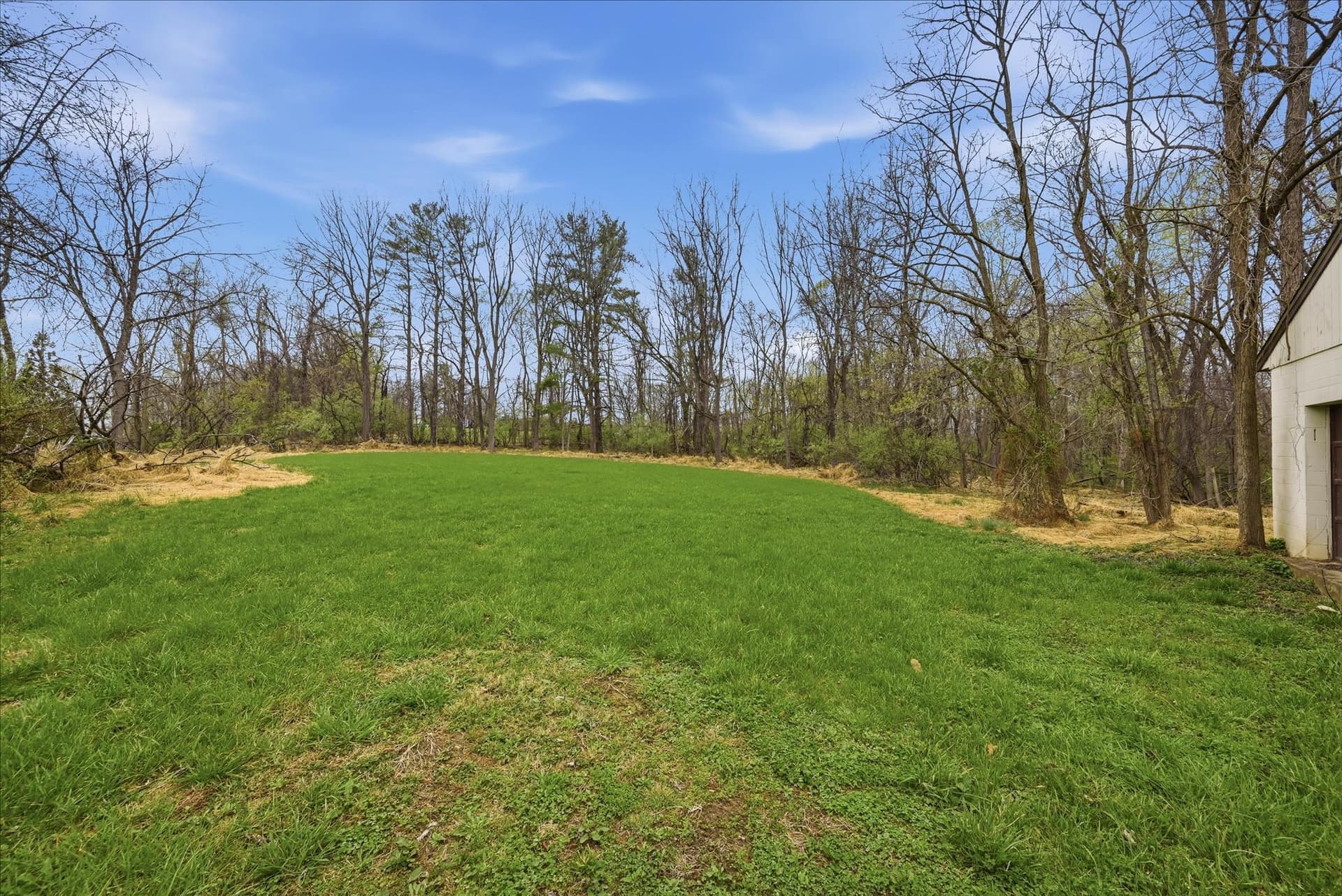 39516 Cottagegrove photo 7