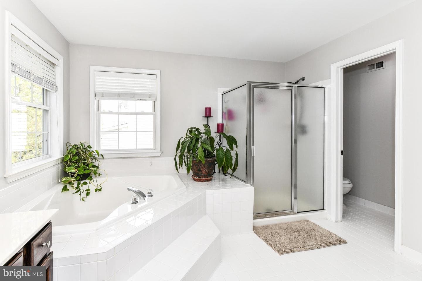 20855 Blythwood Court photo 40