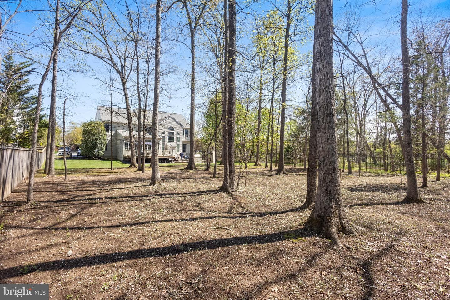 22579 Forest Manor Drive photo 58