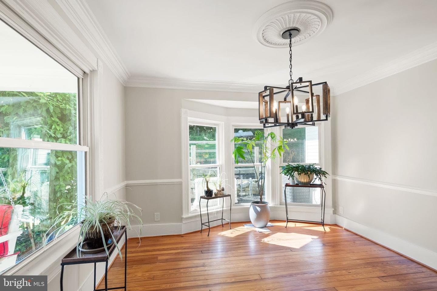 37151 Branchriver photo 10