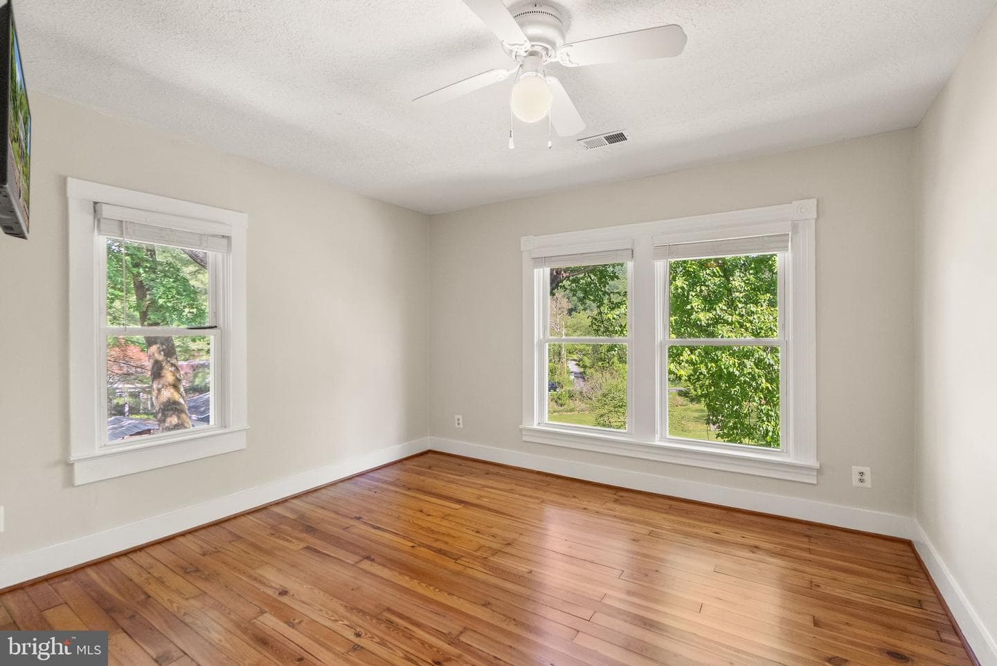 37151 Branchriver photo 36