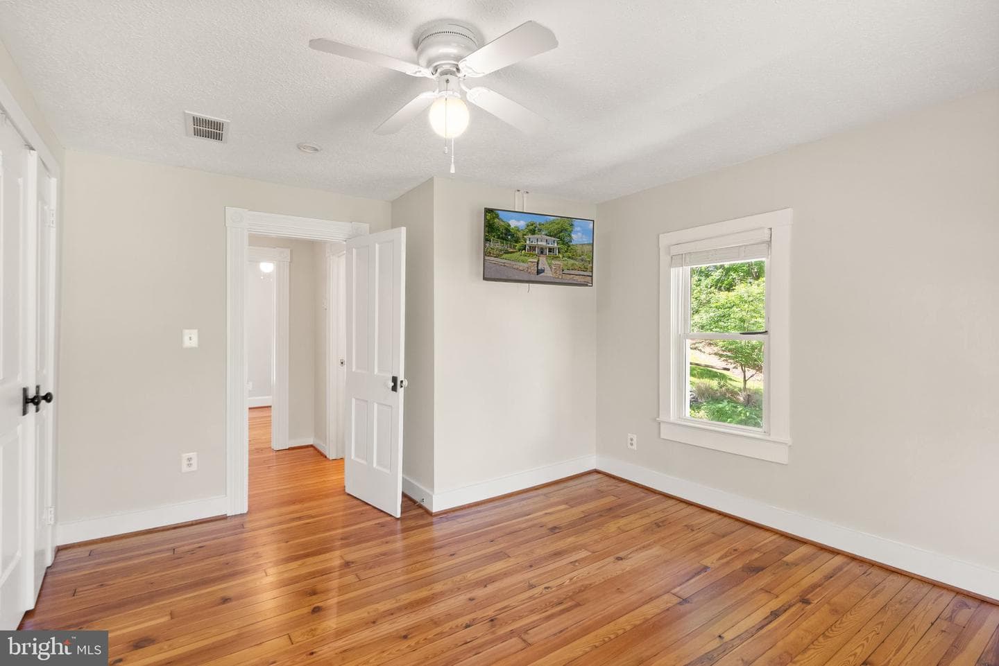 37151 Branchriver photo 37