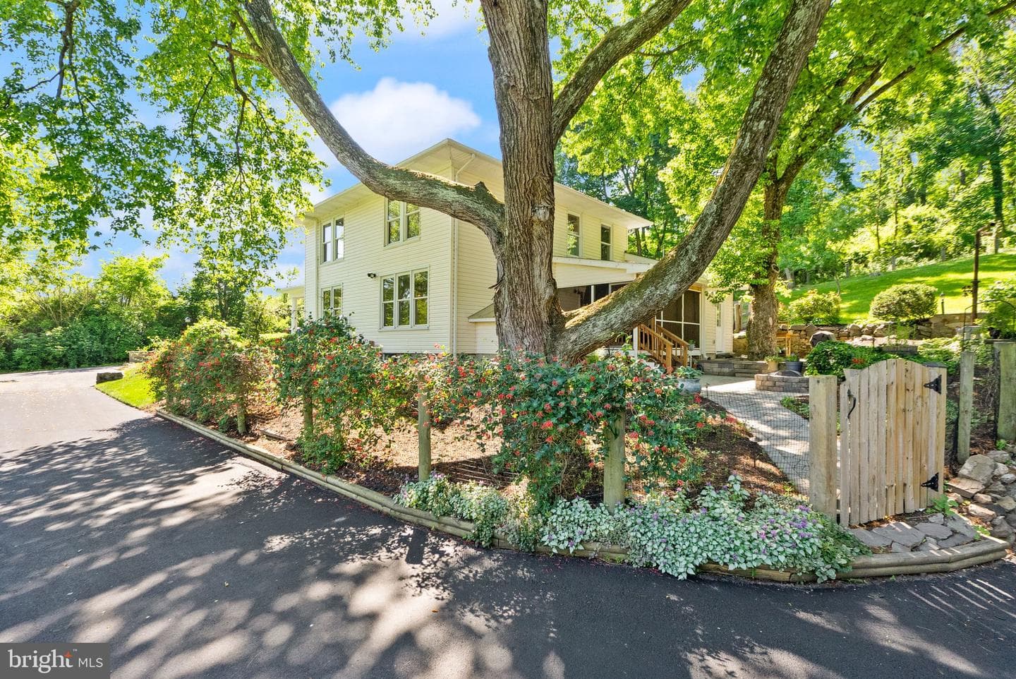 37151 Branchriver photo 48