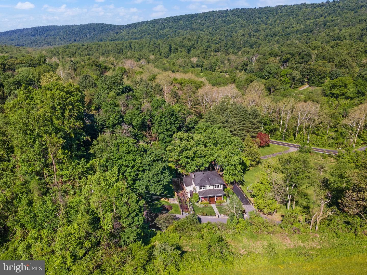 37151 Branchriver photo 59