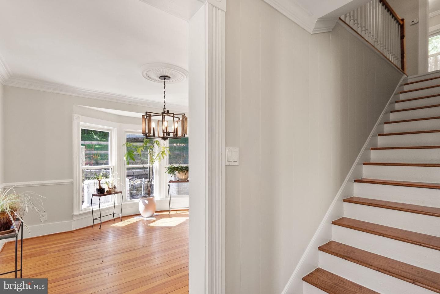 37151 Branchriver photo 9