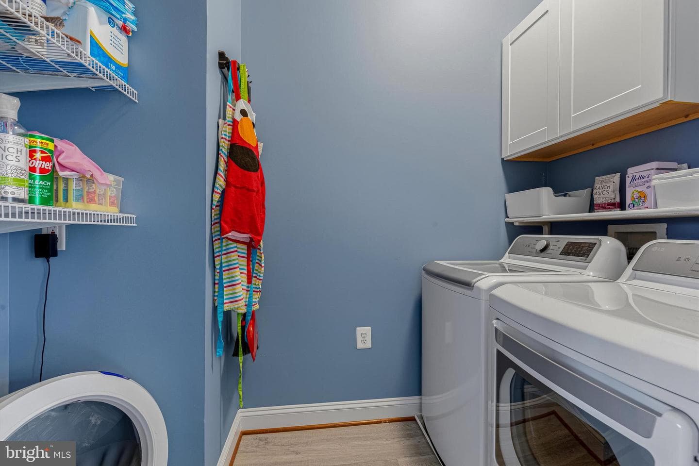 43575 Purple Aster Terrace photo 20