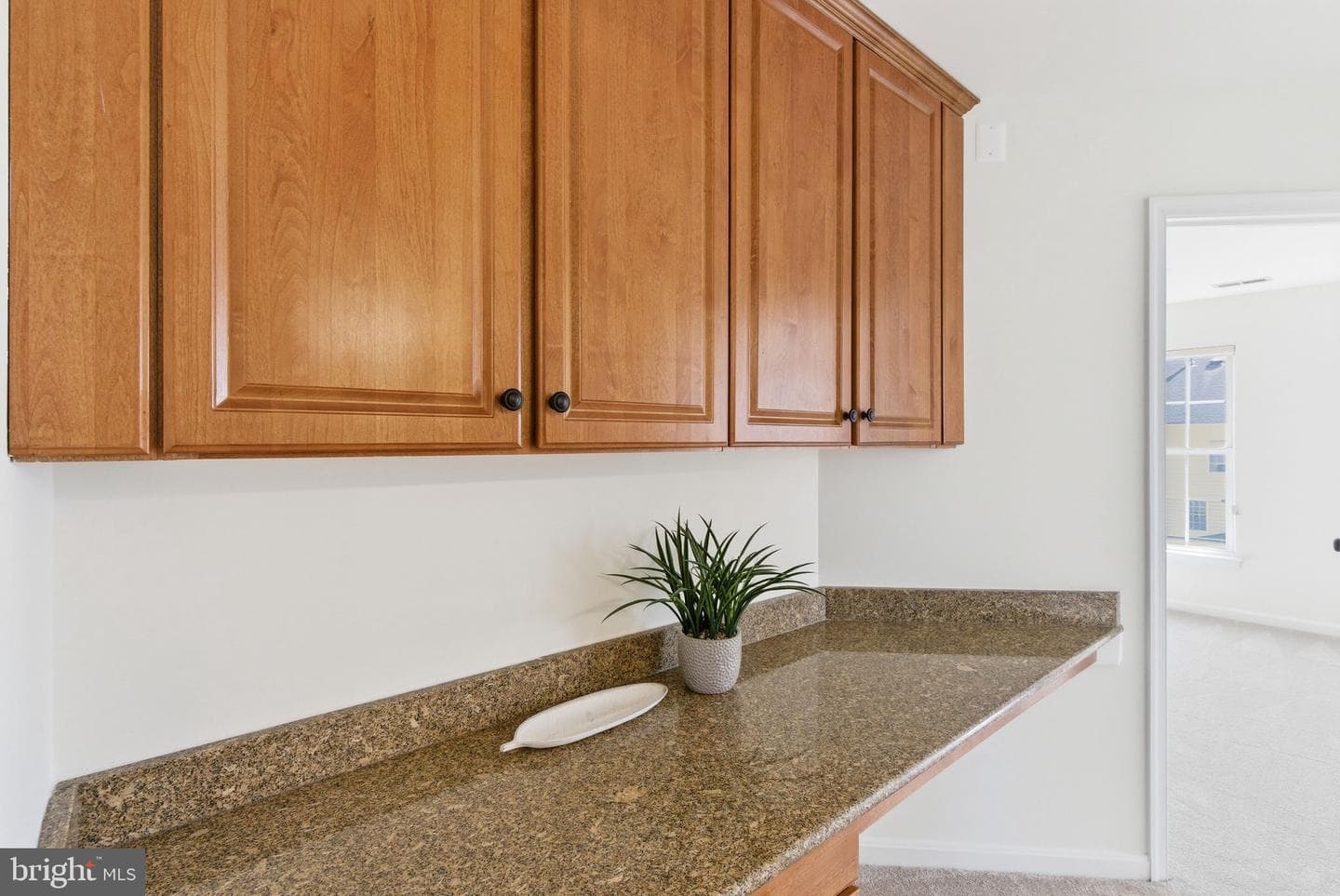 42465 Regal Wood Drive photo 53