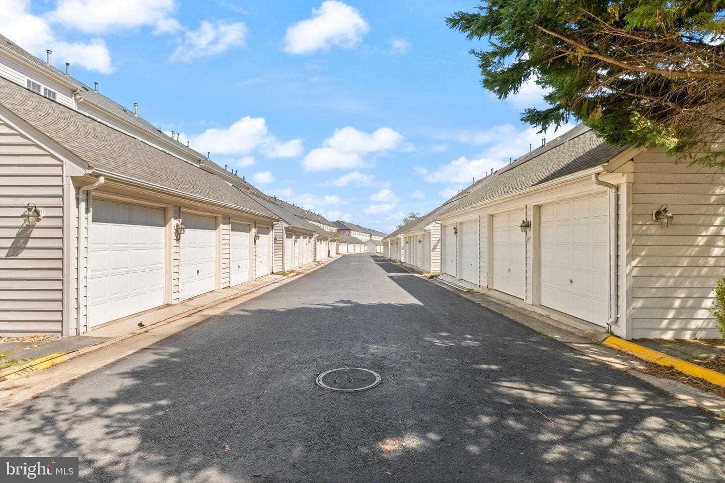 42465 Regal Wood Drive photo 62