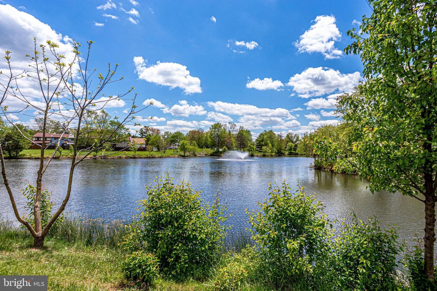 46 Wedgedale Drive photo 26