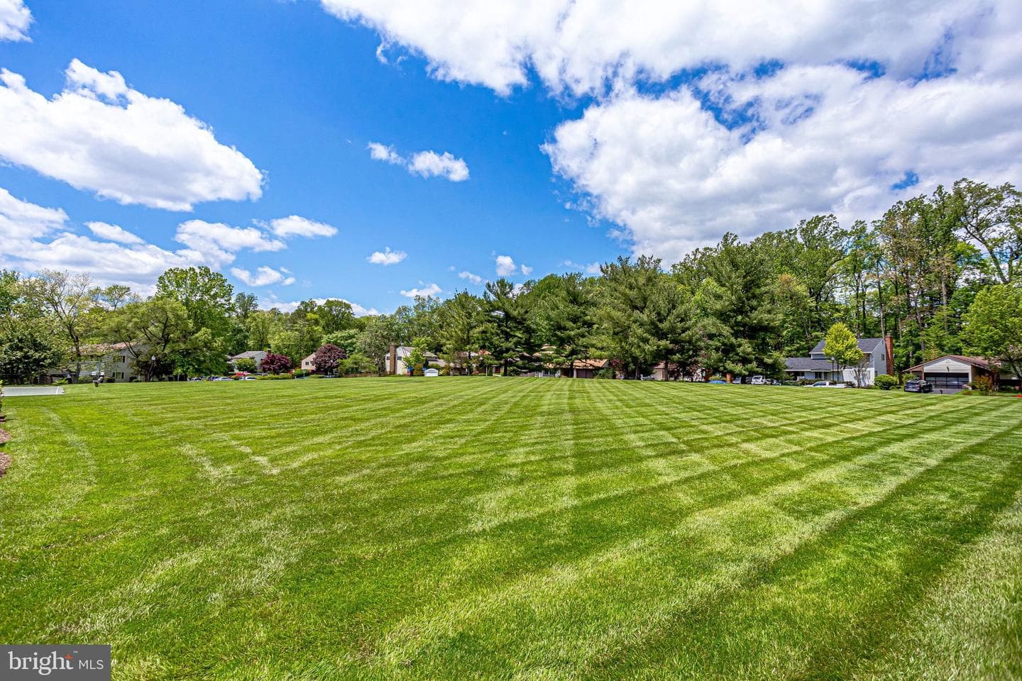 46 Wedgedale Drive photo 28