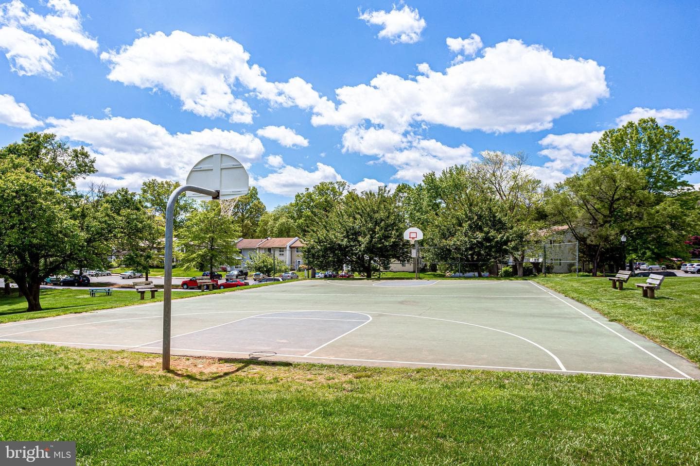 46 Wedgedale Drive photo 29
