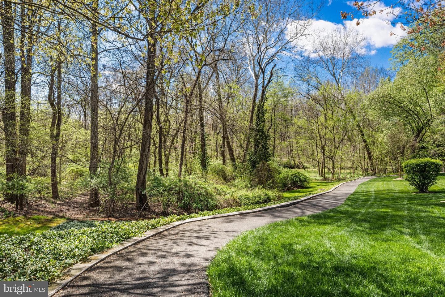 47187 Brasswood Place photo 46