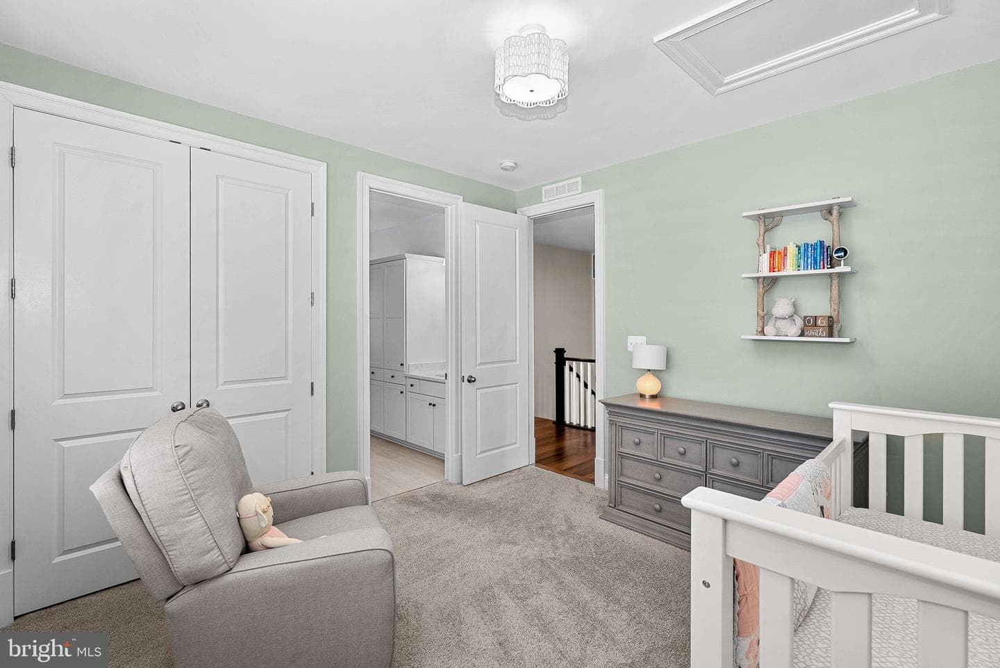 25959 Cullen Run Place photo 57